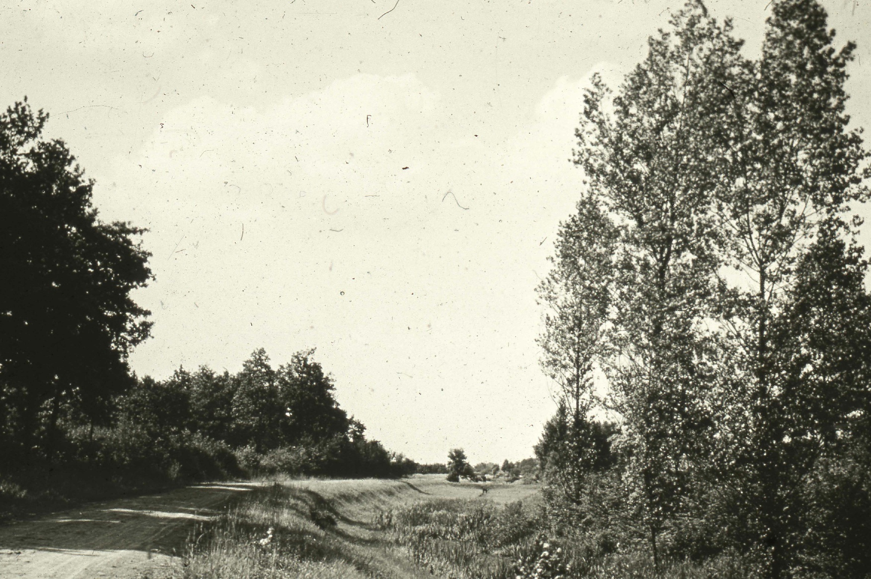 Verwilderter Max-Clemens-Kanal Verwilderter Max-Clemens-Kanal